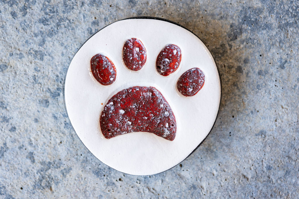 Circular Pet Memorial Tile with Paw Print - Minimalist Ceramic Tribute